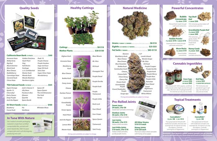 image: OrganiCann™ 2010 Medicinal Cannabis Quad-Fold Products Menu Inside