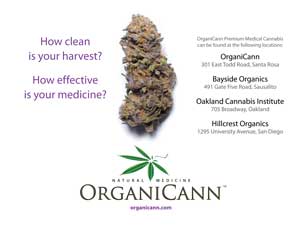 image: OrganiCann & Pure Analytics™ Medicinal Cannabis Potency and Safety Screening Postcard Front