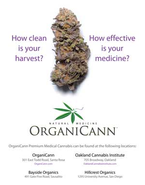 image: OrganiCann™ & Pure Analytics™ Medicinal Cannabis Potency and Safety Screening Poster Front