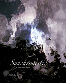 Synchronistic: The Book cover